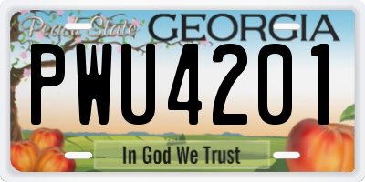 GA license plate PWU4201