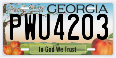 GA license plate PWU4203