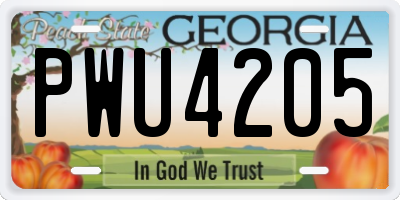 GA license plate PWU4205
