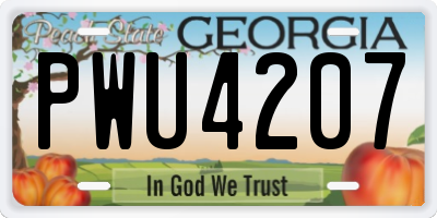 GA license plate PWU4207