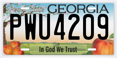 GA license plate PWU4209