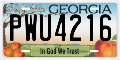 GA license plate PWU4216