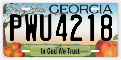 GA license plate PWU4218