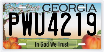 GA license plate PWU4219