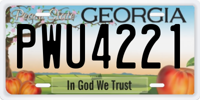 GA license plate PWU4221