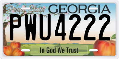 GA license plate PWU4222
