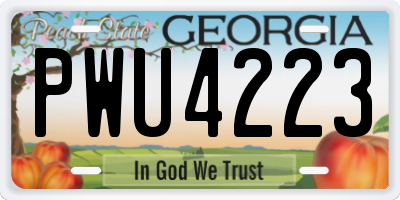 GA license plate PWU4223