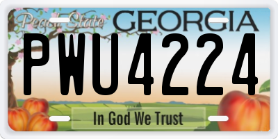 GA license plate PWU4224
