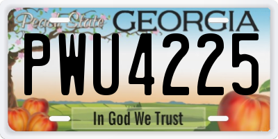 GA license plate PWU4225
