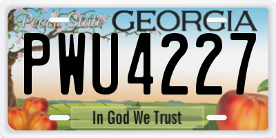 GA license plate PWU4227