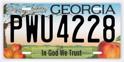 GA license plate PWU4228