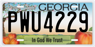 GA license plate PWU4229