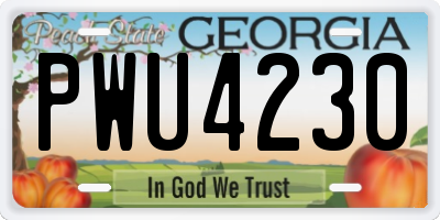 GA license plate PWU4230