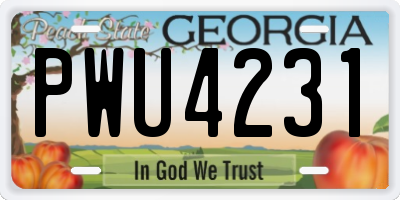 GA license plate PWU4231