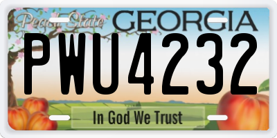GA license plate PWU4232