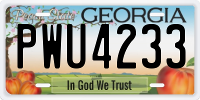 GA license plate PWU4233