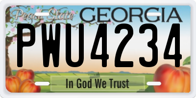 GA license plate PWU4234