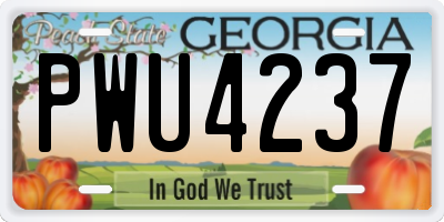 GA license plate PWU4237