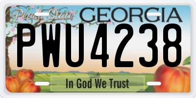 GA license plate PWU4238