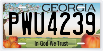 GA license plate PWU4239