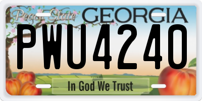 GA license plate PWU4240