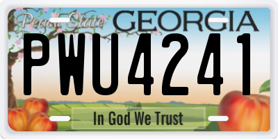 GA license plate PWU4241