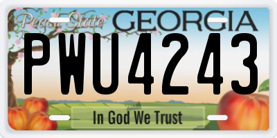 GA license plate PWU4243