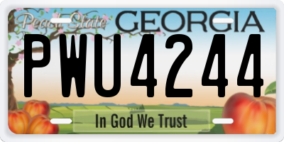 GA license plate PWU4244