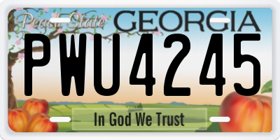 GA license plate PWU4245