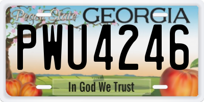 GA license plate PWU4246
