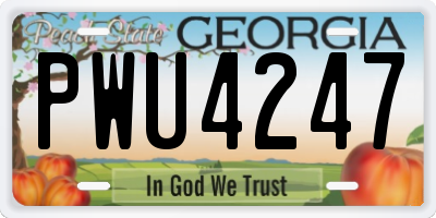 GA license plate PWU4247