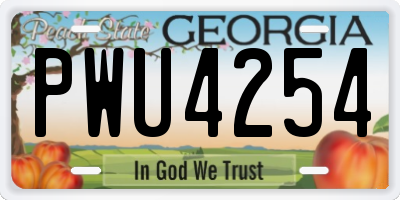 GA license plate PWU4254