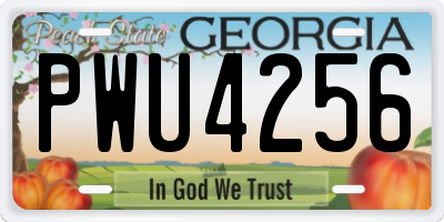 GA license plate PWU4256