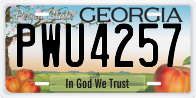GA license plate PWU4257