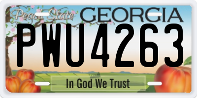 GA license plate PWU4263