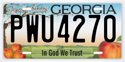 GA license plate PWU4270