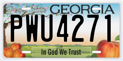 GA license plate PWU4271