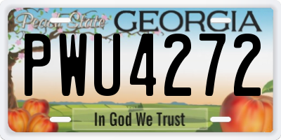 GA license plate PWU4272