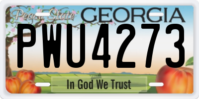 GA license plate PWU4273