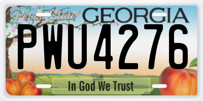 GA license plate PWU4276