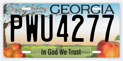GA license plate PWU4277