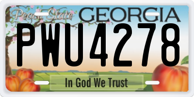 GA license plate PWU4278