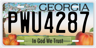 GA license plate PWU4287