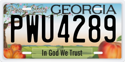 GA license plate PWU4289