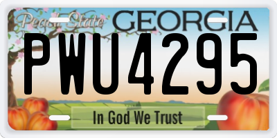 GA license plate PWU4295