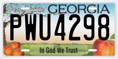 GA license plate PWU4298