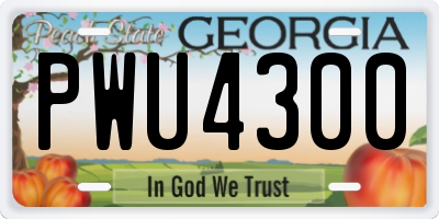 GA license plate PWU4300