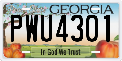 GA license plate PWU4301