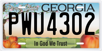 GA license plate PWU4302