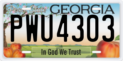 GA license plate PWU4303